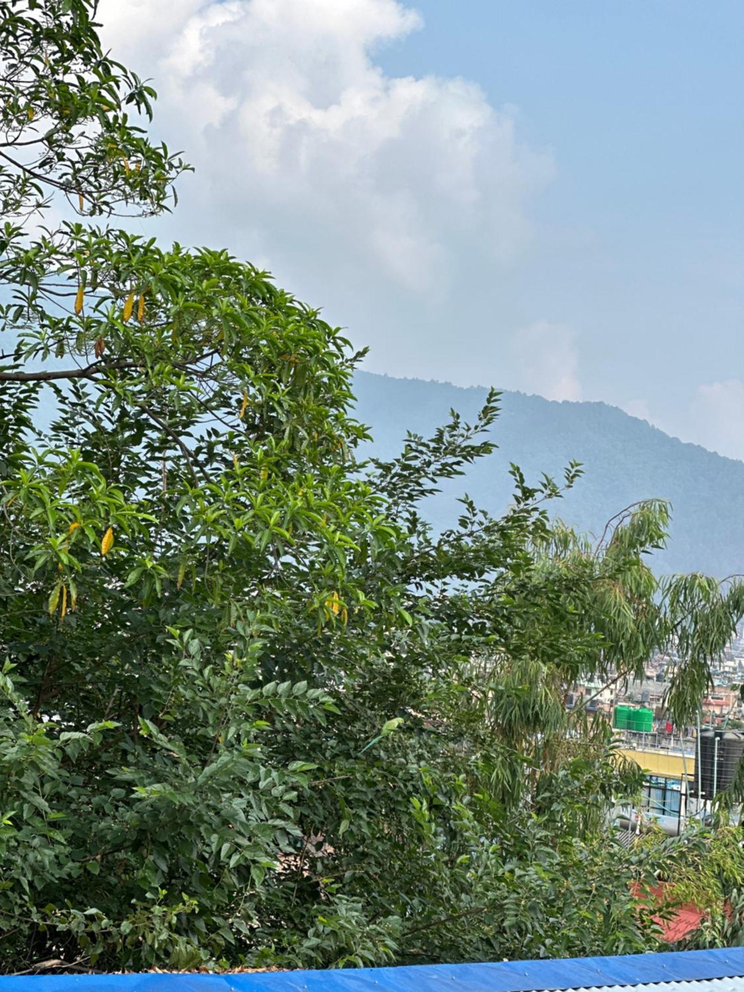 Institute Of Natural Medicine , Yoga & Therapy Home Kathmandu Exterior photo