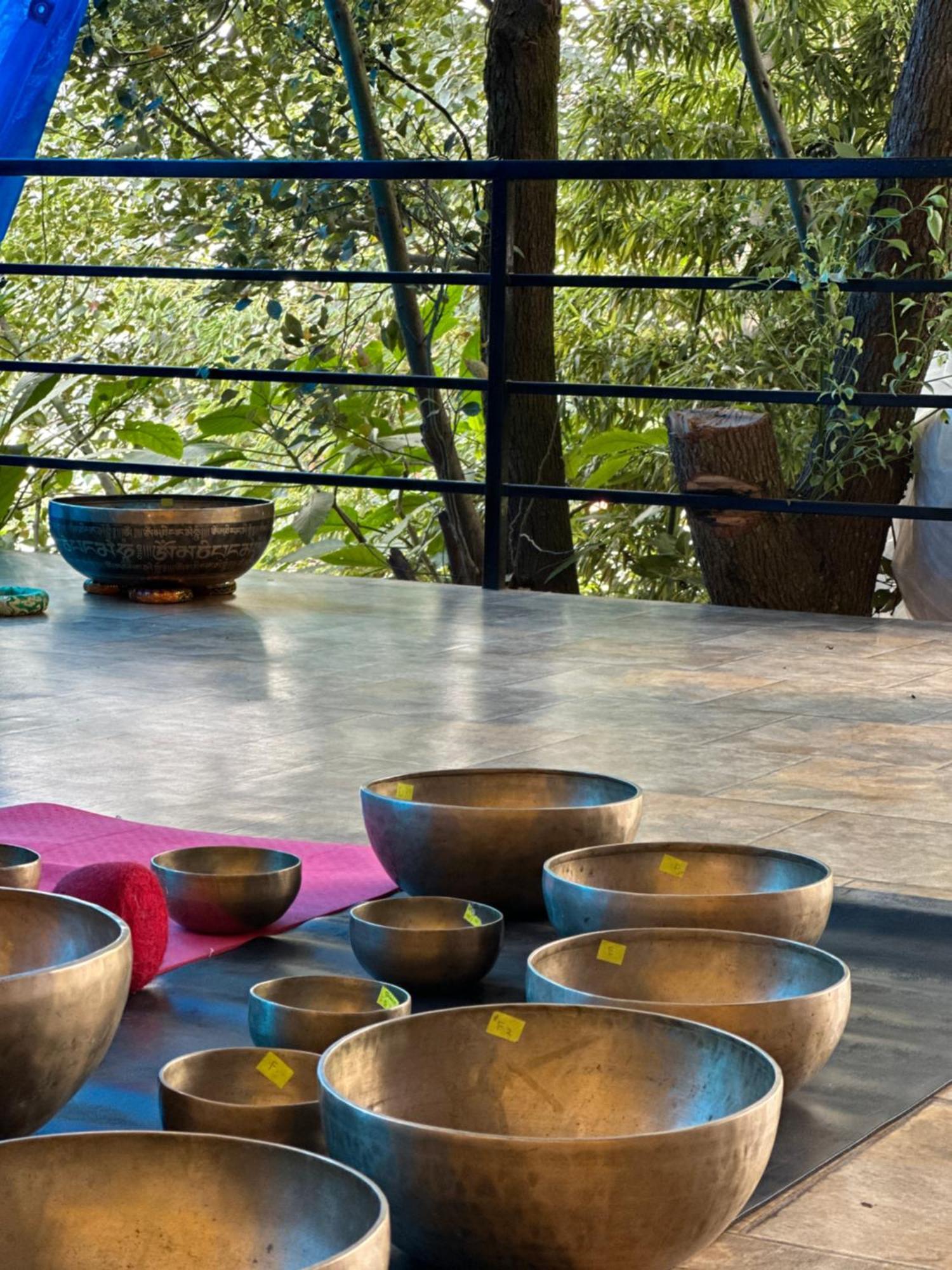 Institute Of Natural Medicine , Yoga & Therapy Home Kathmandu Exterior photo